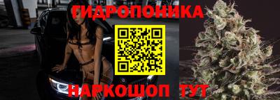 прущие грибы Лесосибирск