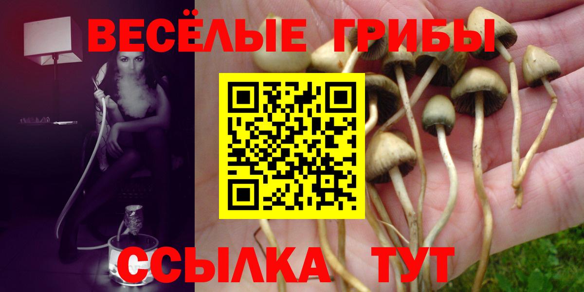 Галлюциногенные грибы прущие грибы Зерноград